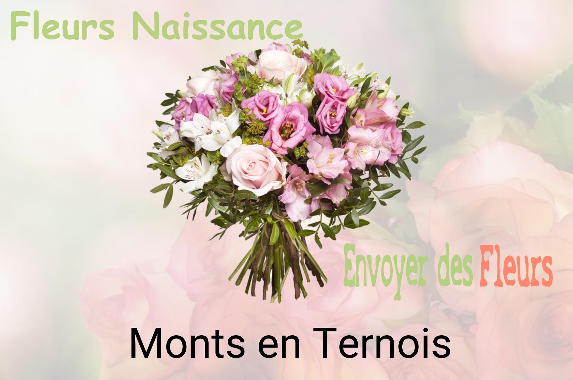 Bouquet de fleurs de naissance livré à Monts-en-Ternois